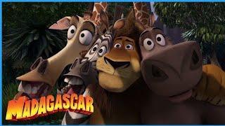 Madagascar  New Trailer | Ben Stiller, Chris Rock (2025)