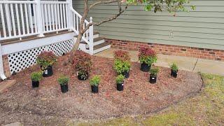 Shrubbery Garden Project