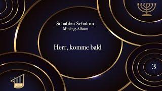 Martin Ben David - Herr, komme bald (Schabbat Schalom Mitsing-Album)