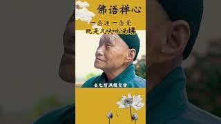 一念迷一念觉，既是凡夫也是坲#禅悟人生 #禅缘佛语 #修心修行 #佛语心静