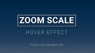 CSS Zoom Scale Image Hover Effect | CSS Image Hover Effect