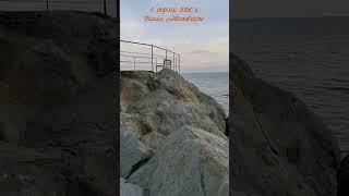 8 апреля 2025 г. Скала Айвазовского в Алупке #ялта2025 #алупка #воронцовскийпарк
