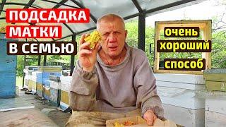 Подсадка матки Не 100% но 99% гарантия