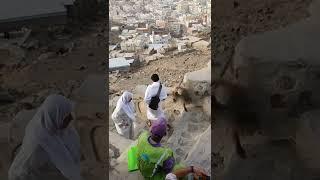 في جبل النور في مكة قرد يسرق معتمر 