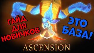 Ascension wow гайд для полных новичков, что делать, куда идти, что качать, что это вообще!