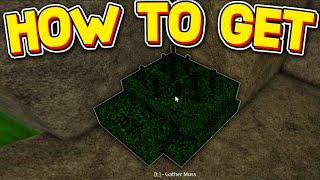 HOW TO GET MOSS in RUNE SLAYER! ROBLOX