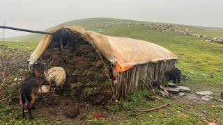 Nepali Mountain Village Life | Rainy Day | Sheep Shepherd Life | Organic Shepherd Food | Real Life |