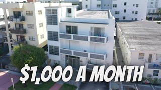 What $1,000 Gets You in Miami Beach! | Studio Tour