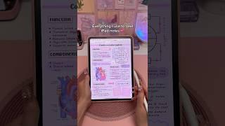 Everything I use to take iPad notes  iPad accessories | apple pencil | digital note taking | study