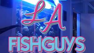 Surge Reef Aquarium, LA Fishguys, Episode Five, Part 1