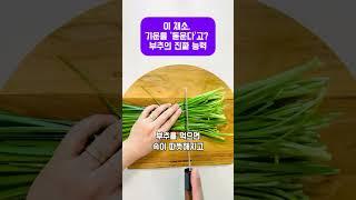이 채소, 기운을 ‘돋운다’고? 부추의 진짜 능력 #부추전 #건강채소