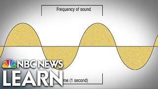 Sound Waves