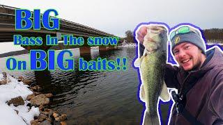 Big bass in the snow on BIG baits!!!