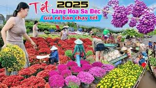 Làng hoa sa đéc 2025 Tung giá rẻ nhiều mẫu mới bán chạy kịp tết Ất Tỵ