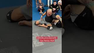 Check out this omoplata escape we call THE RENZO ROLL #bjj #shorts #bjjdrills #omoplata