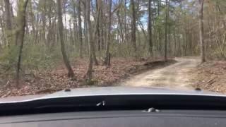 'Off-roading' in New Jersey — Best places to take your SUV