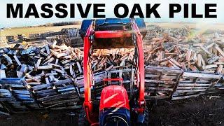 MASSIVE OAK FIREWOOD PILE SPLIT AND IN THE BINS!