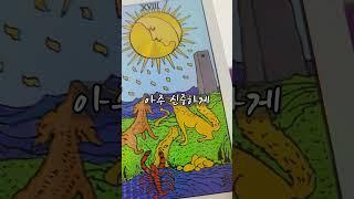 18번 달 카드 the moon  #타로배우기 #tarot #타로카드배우기