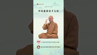 你能盤腿坐多久呢？訂閱免費學習冥想, 禪修。歡迎線下來菩提禪苑免費學習冥想| What is meditation? Learn meditation #冥想 #meditation