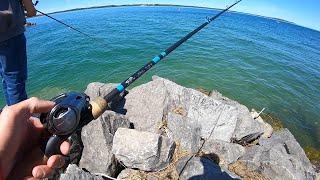 Bank Fishing MICHIGAN Multi Species