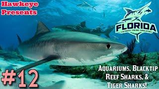 Ultimate Fishing Simulator S5 #12 - Florida DLC: Aquariums, Blacktip Reef Sharks, & Tiger Sharks!