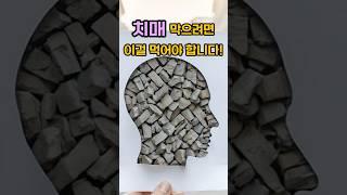 치매 막으려면 이걸 먹어야 합니다! #단백질 #기억력 #치매예방 #근육감 #브레인푸드