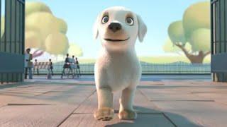 PIP the dog || the short animated film by BSM HOME