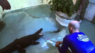 Belgrade Zoo 2011 Episode 9 Part 2