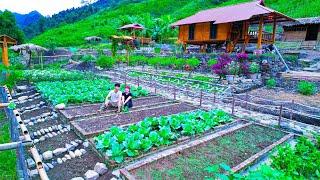 4 Years Of Living Off The Grid In The Forest! Harvest clean produce to sell at the market, cooking