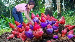 Harvesting Fiery Monster Shoots in the Dense Jungle & Go to Market Sell | Harvesting Farm Produce