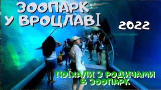 ЗООПАРК У ВРОЦЛАВІ  2022. ДО НАС ПРИЇХАЛИ РОДИЧІ І МИ ПОЇХАЛИ У ЗООПАРК.ЖИЗНЬ И РАБОТА В ПОЛЬШЕ 2022