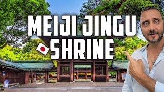 Meiji Jingu | SECRETS of Meiji Shrine & Jungle Walk Tour in Tokyo