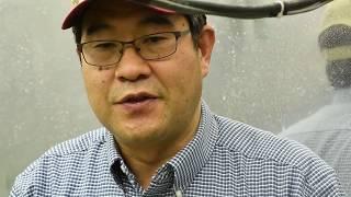 Wheat streak/mite testing - Dr. Shuyu Liu