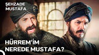 Ben Devlet Derdine Düştüm, Bu Hürrem Derdine | Mustafa vs Hürrem #10