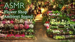 [ASMR] 거리의 꽃 가게 입체음향 Ambience Sound