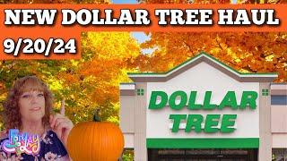 Check Out All The Amazing Finds In My Latest Dollar Tree Haul!