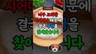 무당의 조언대로 했더니 시어머니가 달라졌습니다!! #고부갈등 #시어머니