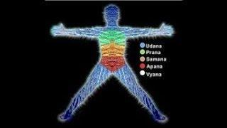 Откуда человек берет прану? Откуда берется энергия у человека? Внутренняя энергия тела. Сарвасатья