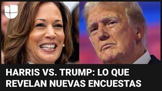 Harris vs. Trump: lo que revelan nuevas encuestas sobre la campaña electoral en Estados Unidos