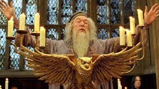 Top 10 Movie Wizards