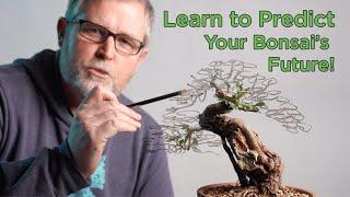 Bonsaify | Learn to PREDICT How Your BONSAI will DEVELOP!