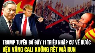 Trump Quyết Đẩy 11 Triệu Người Nhập Cư Về Nước - Vện Vàng Cali Không Rét Mà Run | Lịch Sử Quân Sự