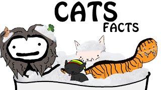 Cats Facts