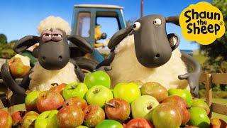 Shaun the Sheep  Apple Pie? - Cartoons for Kids  Full Episodes Compilation [1 hour]