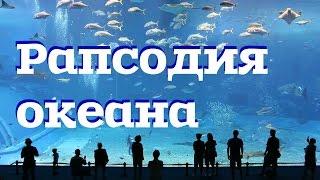 Рапсодия океана/ Marine Life Park
