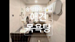 귀여운 강아지 목욕 WITH 송악화이트빌