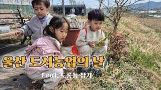 [대디VLOG]울산 도시농업의 날 온가족 출동 feat. 도롱뇽 잡기