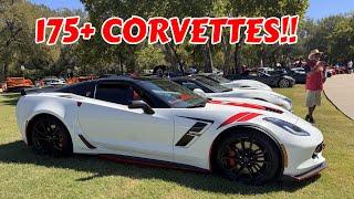 So Many CRAZY CORVETTES In One Place!!