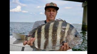 How to Catch Sheepshead! Full Sheepshead Tutorial, Tips, and How To