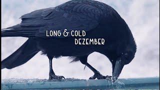 Crows - A Long & Cold December